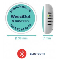 Enregistreur Bluetooth de température et hygrométrie weezidot